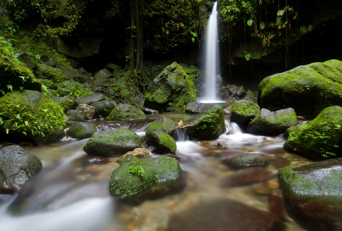 Dominica passport power